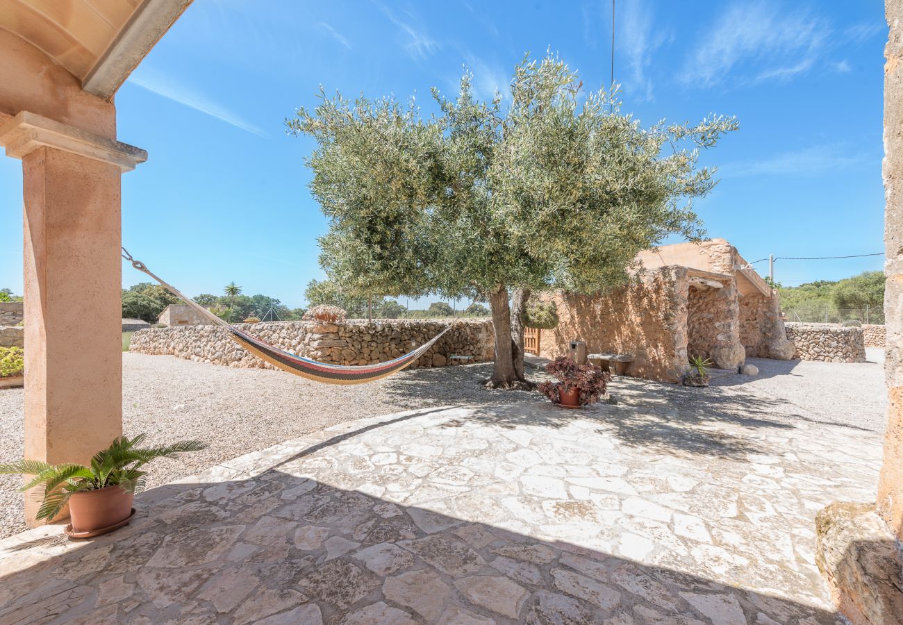 Cottage in Cas Concos des Cavaller - Winter Finca Can Concarri