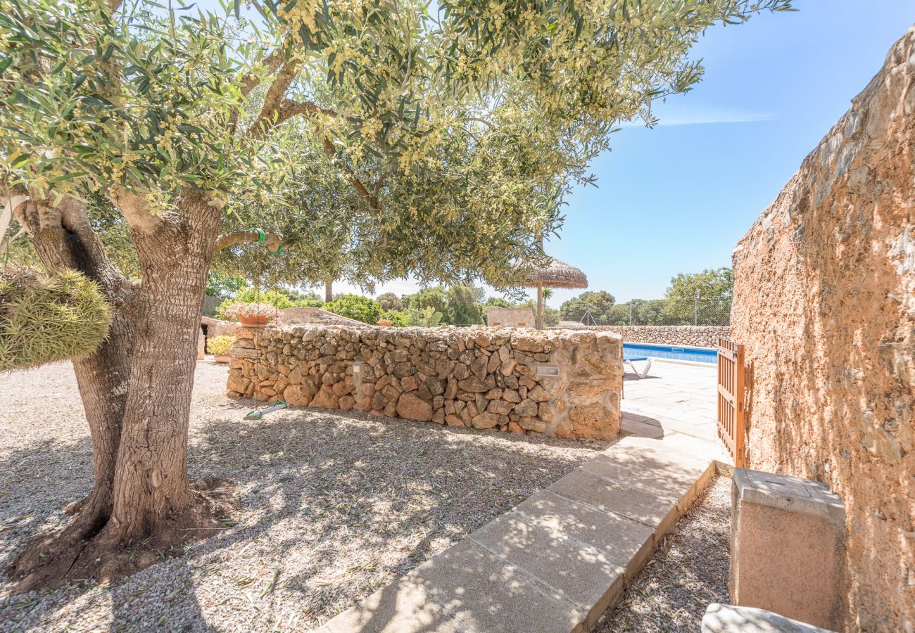 Cottage in Cas Concos des Cavaller - Winter Finca Can Concarri