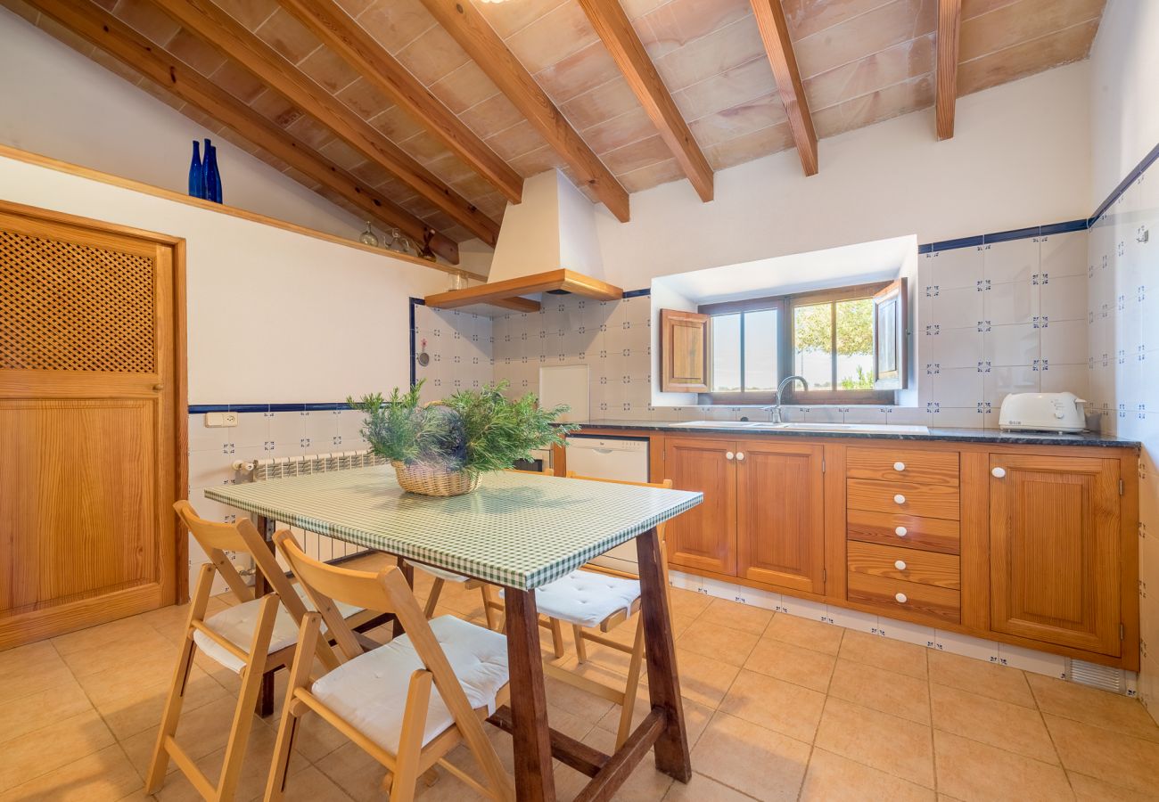 Cottage in Cas Concos des Cavaller - Winter Finca Can Concarri