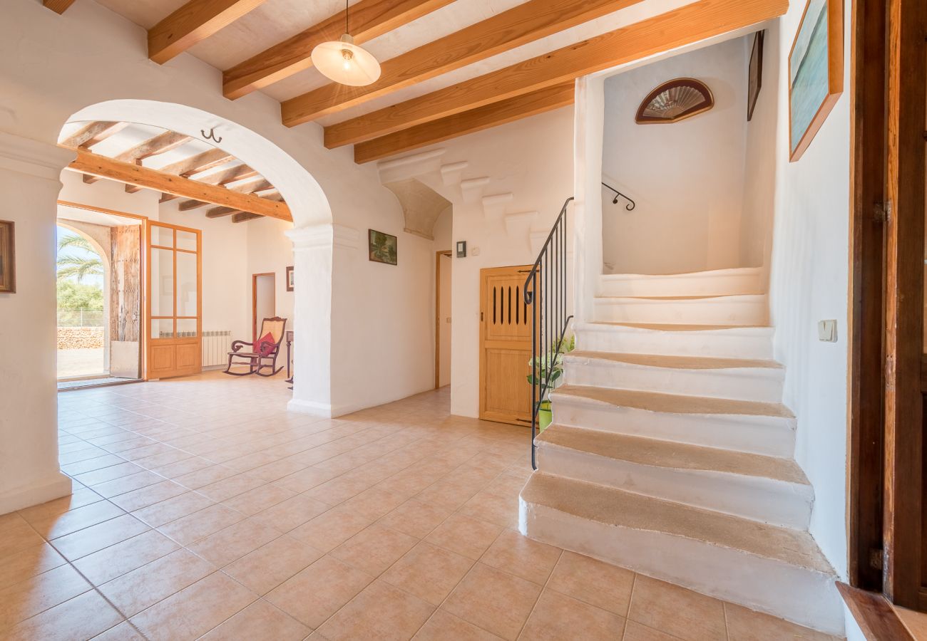 Cottage in Cas Concos des Cavaller - Winter Finca Can Concarri