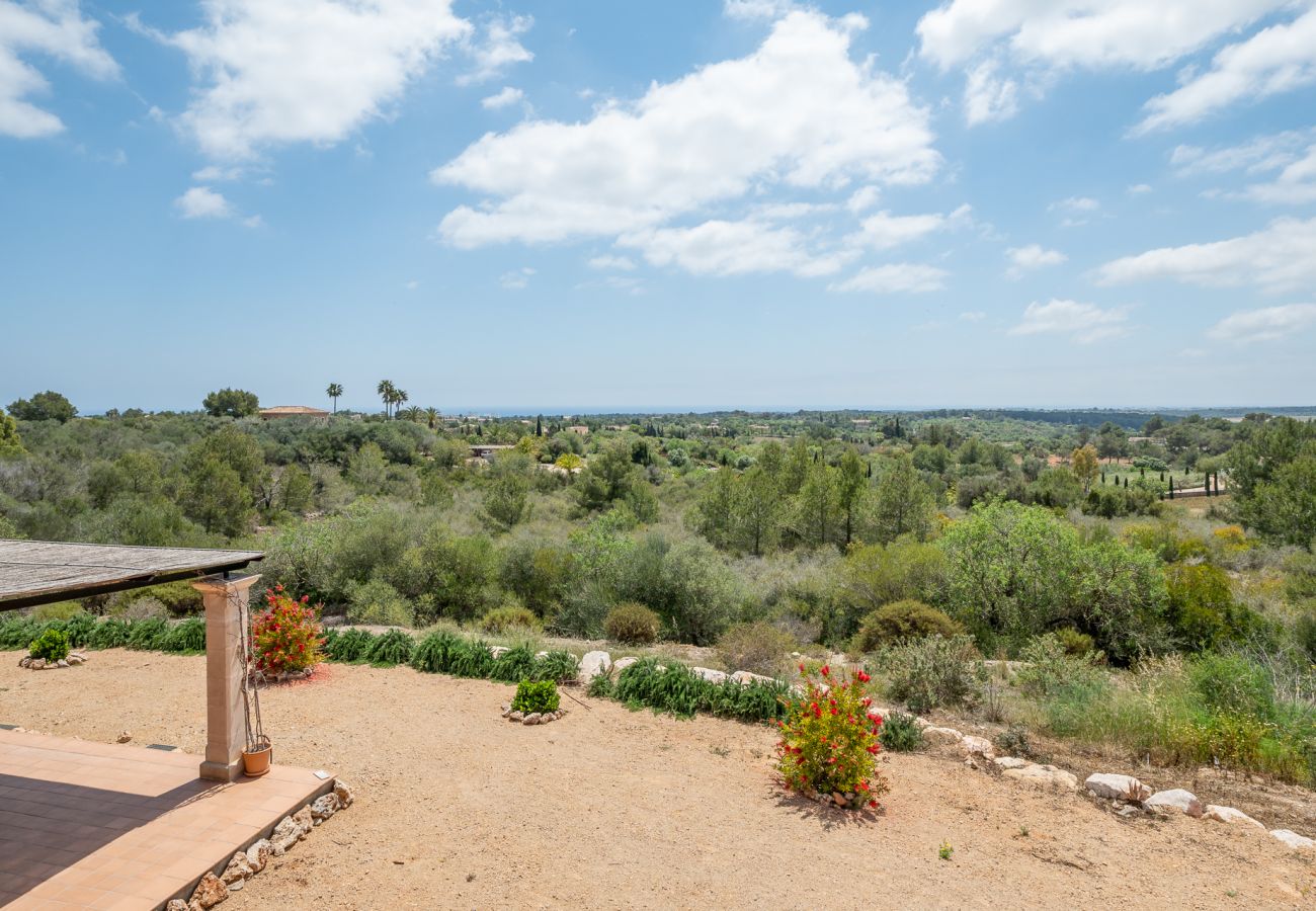 House in Manacor - Winter Finca Sa Pleta