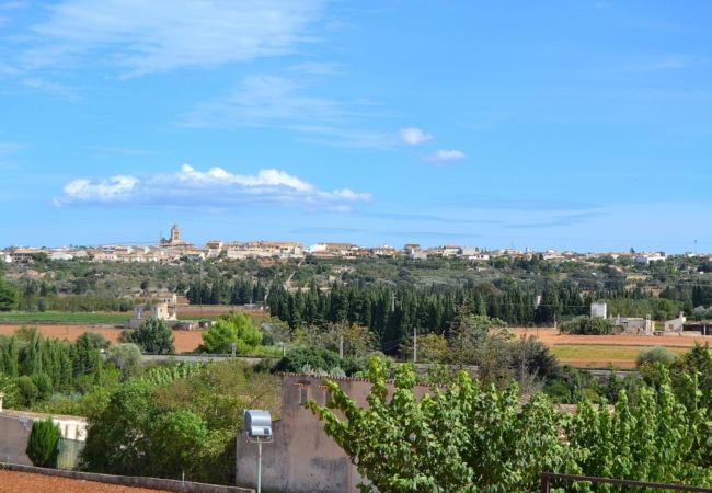 Country house in Muro - 024 Villa Sastre ETV/6548 by Mallorca Charme Country house in Muro - 024 Villa Sastre ETV/6548 by Mallorca Charme