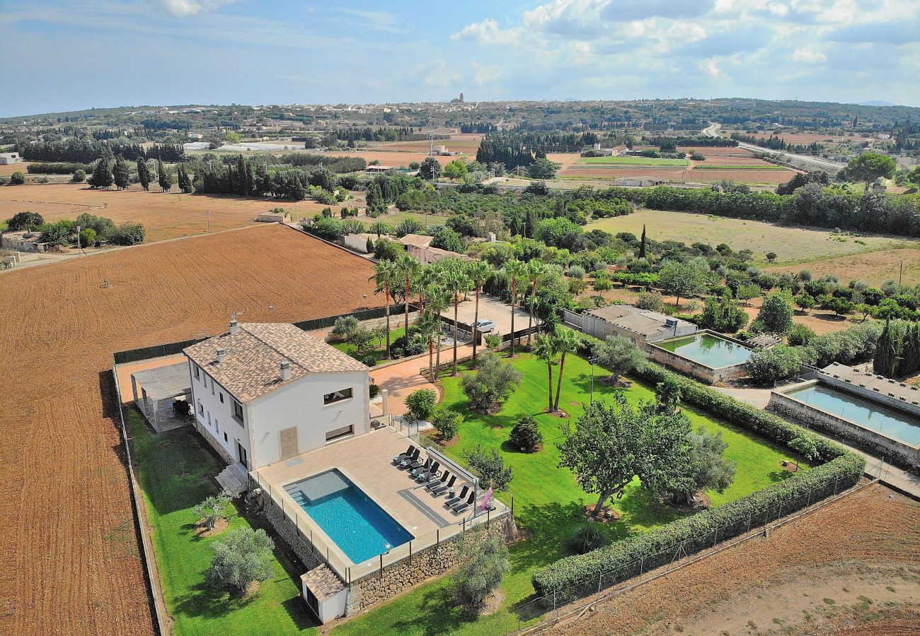 Country house in Muro - Villa Sastre 024 by Mallorca Charme