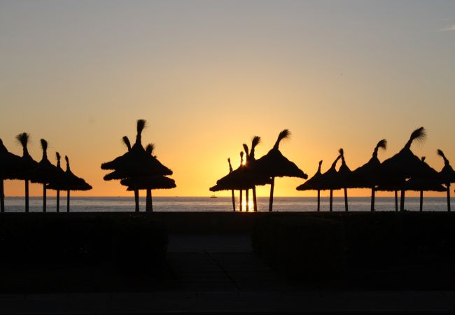 Country house in Alcúdia - 113 Finca Can Roig ETV/955 by Mallorca Charme Country house in Alcúdia - 113 Finca Can Roig ETV/955 by Mallorca Charme