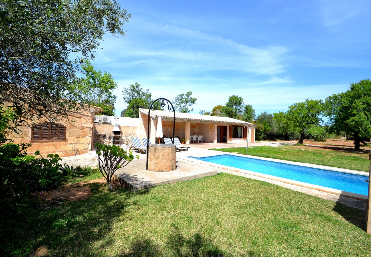 Country house in Alcudia - Finca Els Olivers 138 by Mallorca Charme