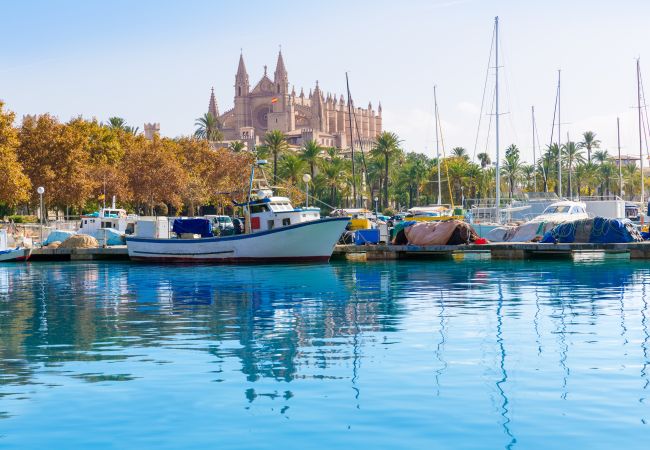 Country house in Sa Pobla - 140 Villa Son Ferragut VT/2073  by Mallorca Charm Country house in Sa Pobla - 140 Villa Son Ferragut VT/2073  by Mallorca Charm