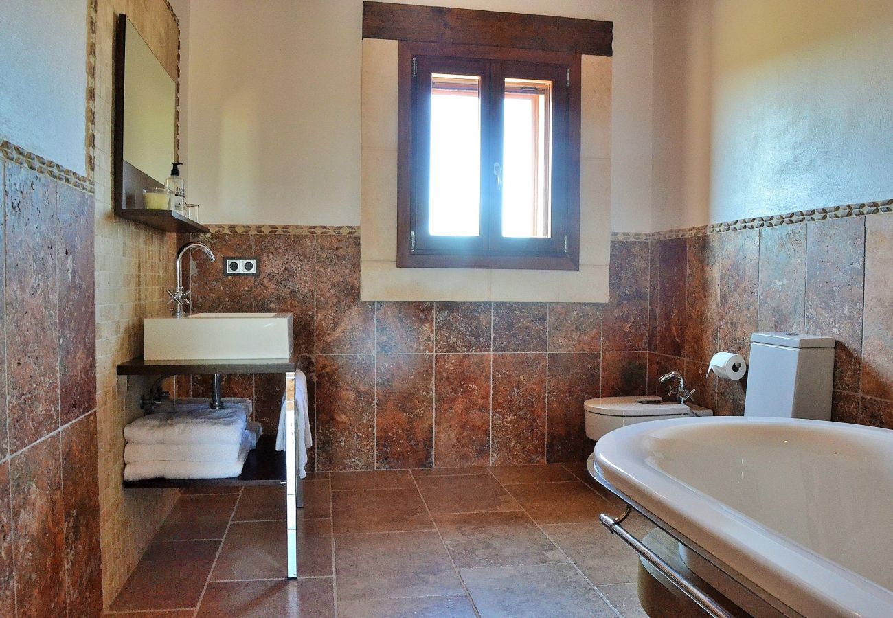 From 100 € per day you can rent your villa in Mallorca