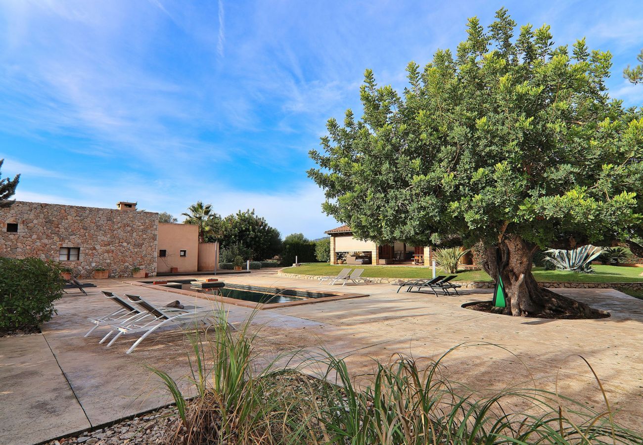 Country house in Binissalem - 151 Villa Es Triquet ET/3366 by Mallorca Charme