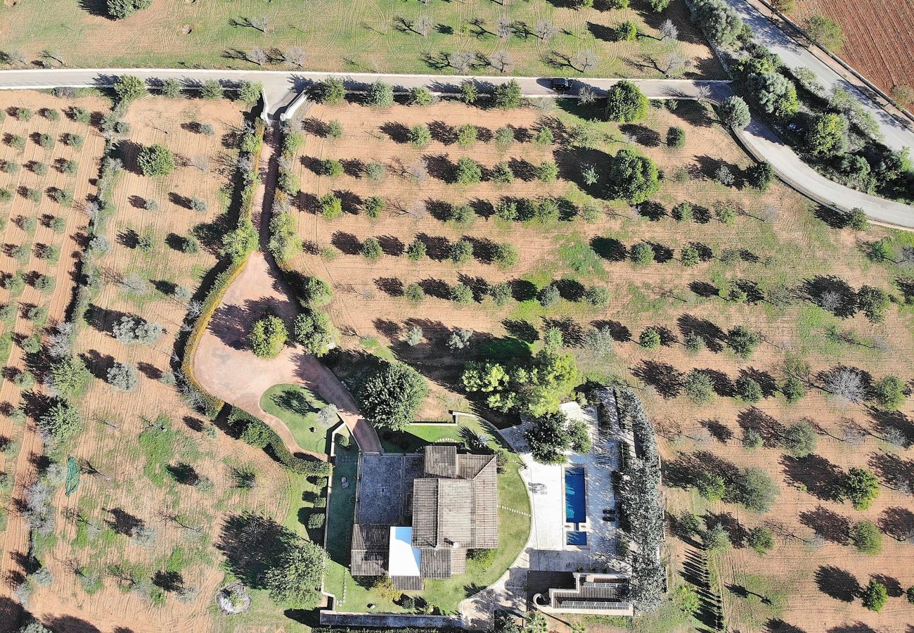 Country house in Binissalem - 151 Villa Es Triquet ET/3366 by Mallorca Charme