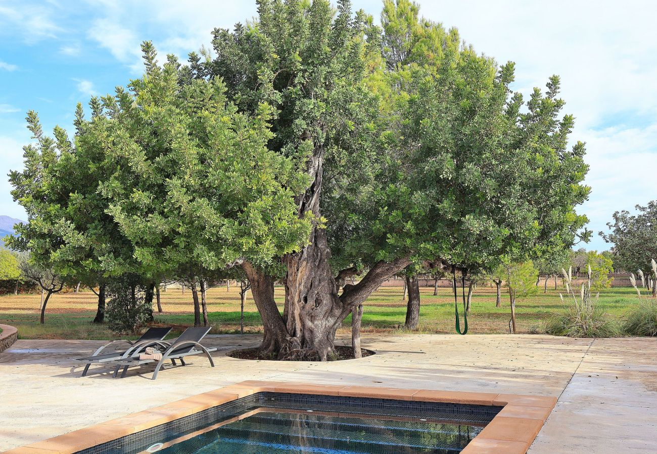 Country house in Binissalem - 151 Villa Es Triquet ET/3366 by Mallorca Charme