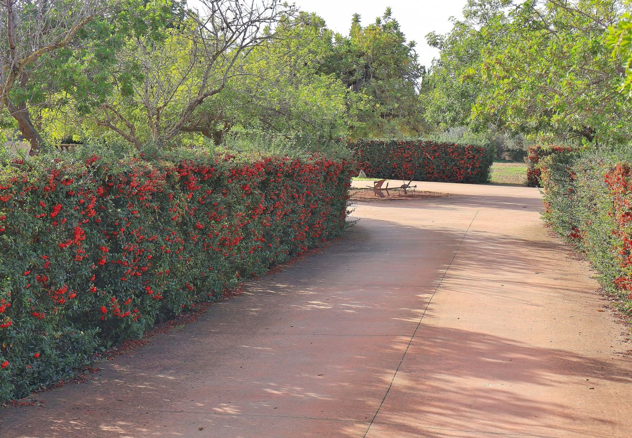 Country house in Binissalem - 151 Villa Es Triquet ET/3366 by Mallorca Charme