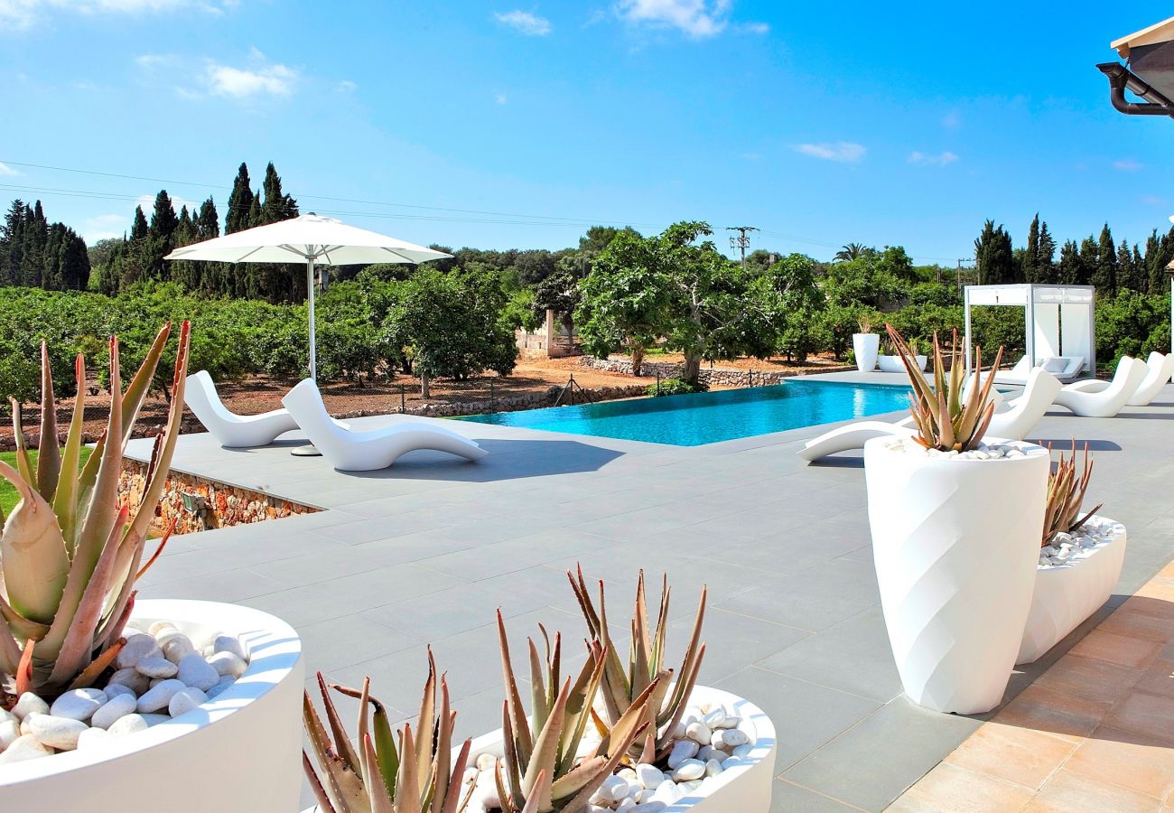 From 100 € per day you can rent your villa in Mallorca