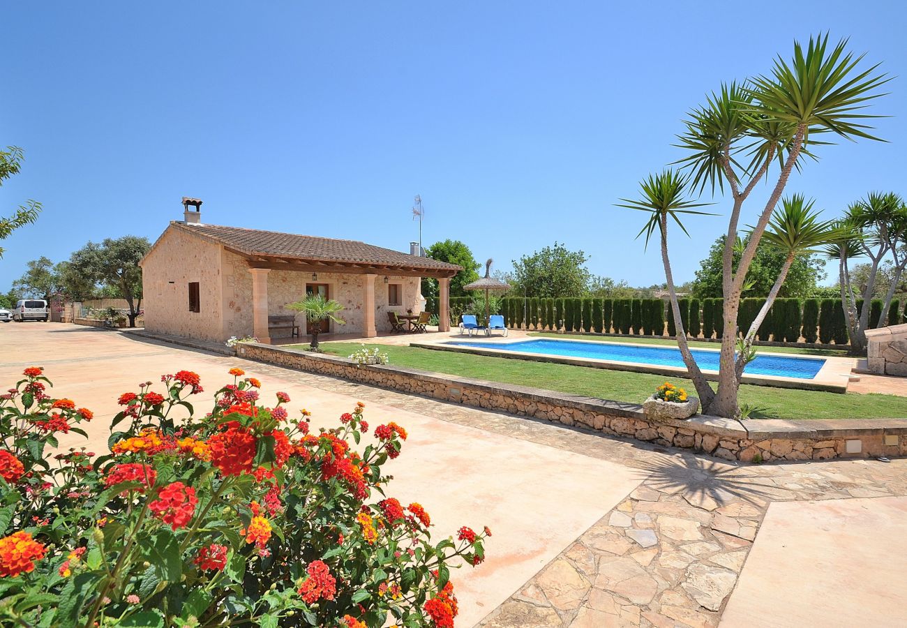 Country house in Santa Margalida - 184 Finca Estret ETV/3644 by Mallorca Charme