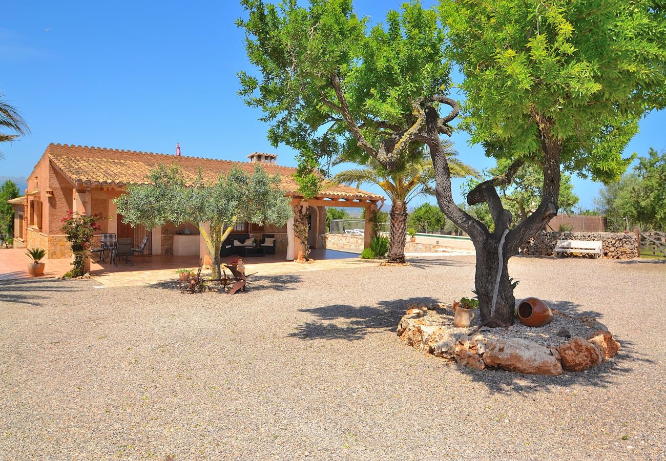 Country house in Santa Margalida - 230 Finca Sa Caseta de Son Morro ETV/5986 by Mallo