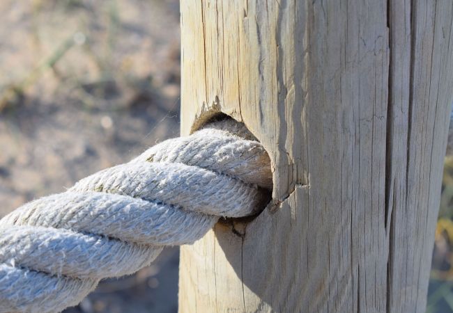 Country house in Campos - 408 Finca Alcoraia ETV2951 by Mallorca Charme Country house in Campos - 408 Finca Alcoraia ETV2951 by Mallorca Charme