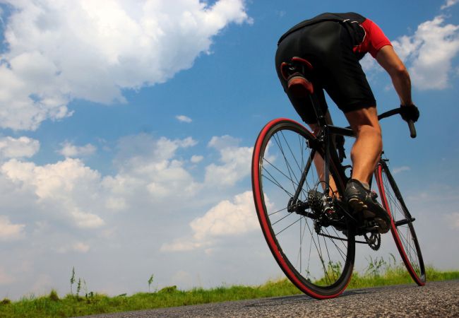 Country house in Campos - 408 Finca Alcoraia ETV2951 by Mallorca Charme Country house in Campos - 408 Finca Alcoraia ETV2951 by Mallorca Charme