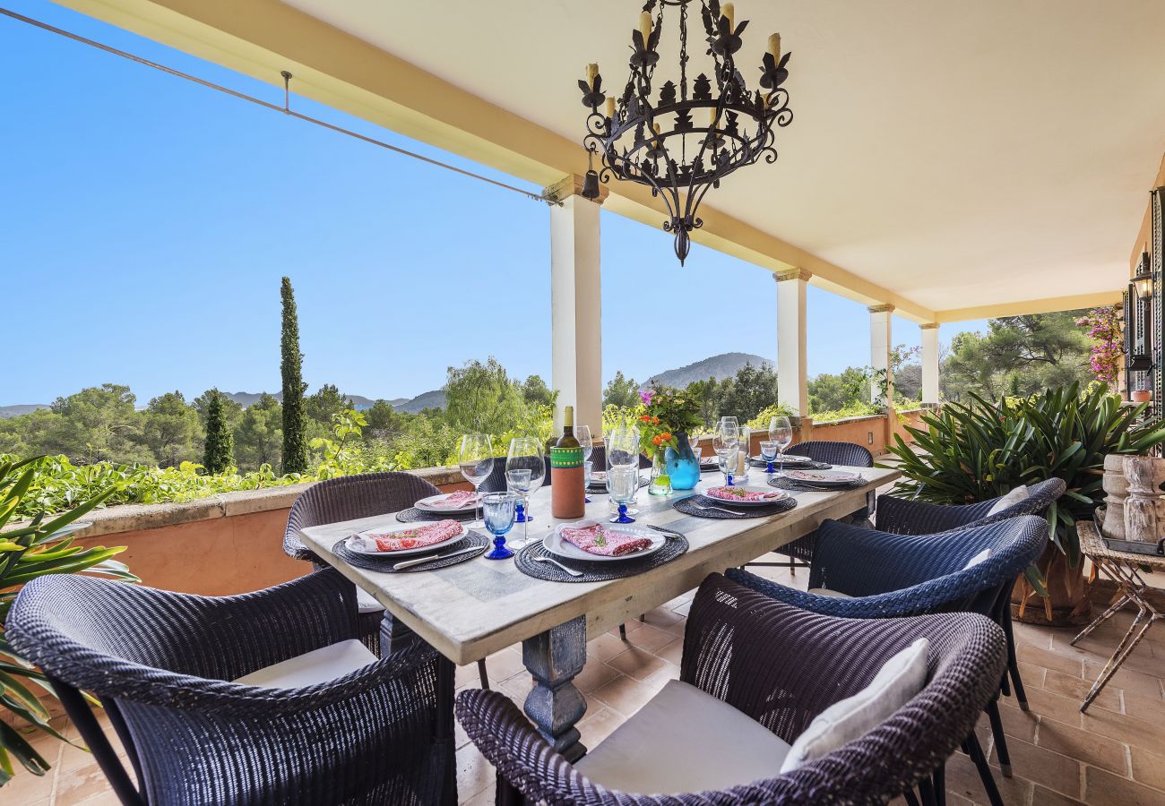 Terrace with garden views