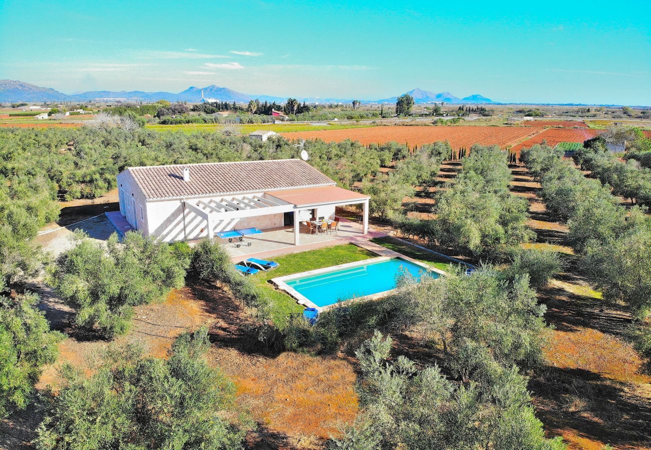 Large finca surrounded by nature in Can Picafort, for rent