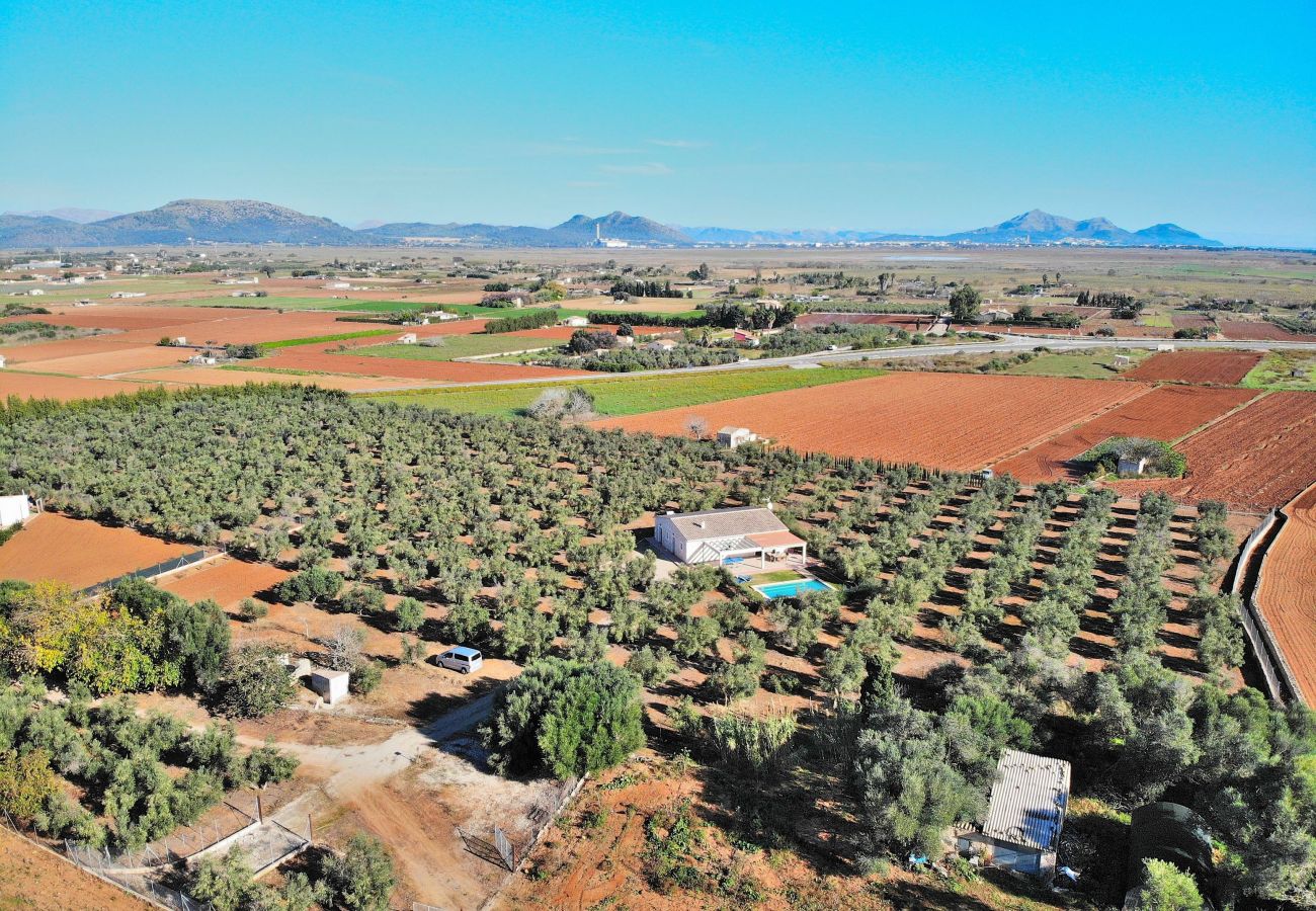 Country house in Can Picafort - Finca Ullastres 109 by Mallorca Charme