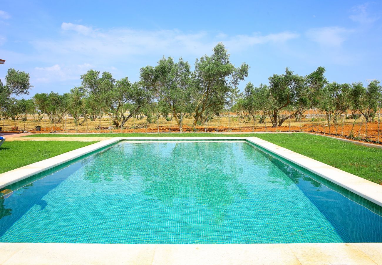 Country house in Can Picafort - Finca Ullastres 109 by Mallorca Charme