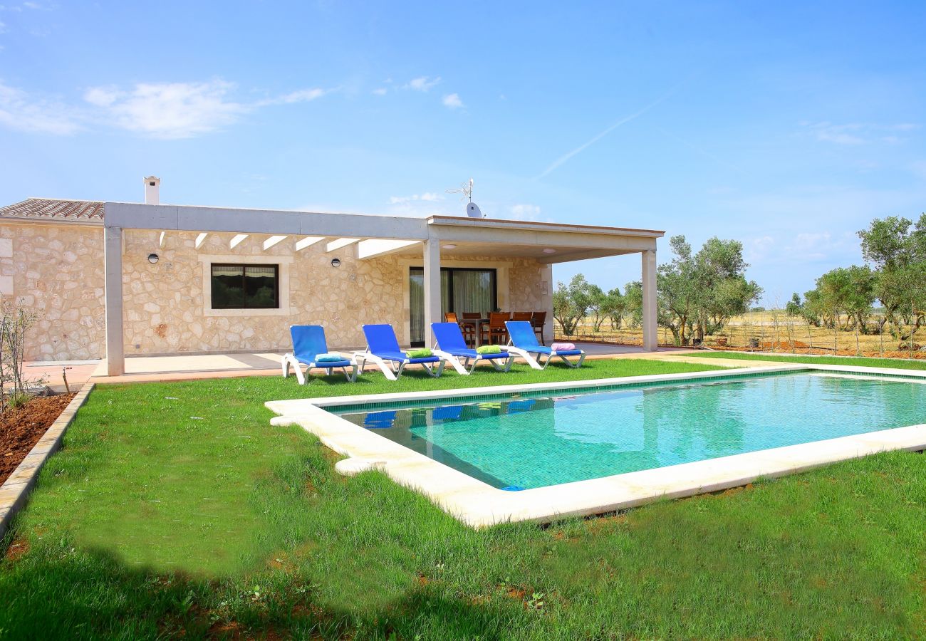 finca, holidays, nature, swimming pool