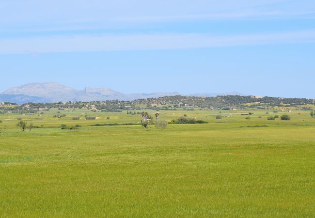 Country house in Maria de la salut - 012 Finca Es Gassons VT/1874 by Mallorca Charme Country house in Maria de la salut - 012 Finca Es Gassons VT/1874 by Mallorca Charme