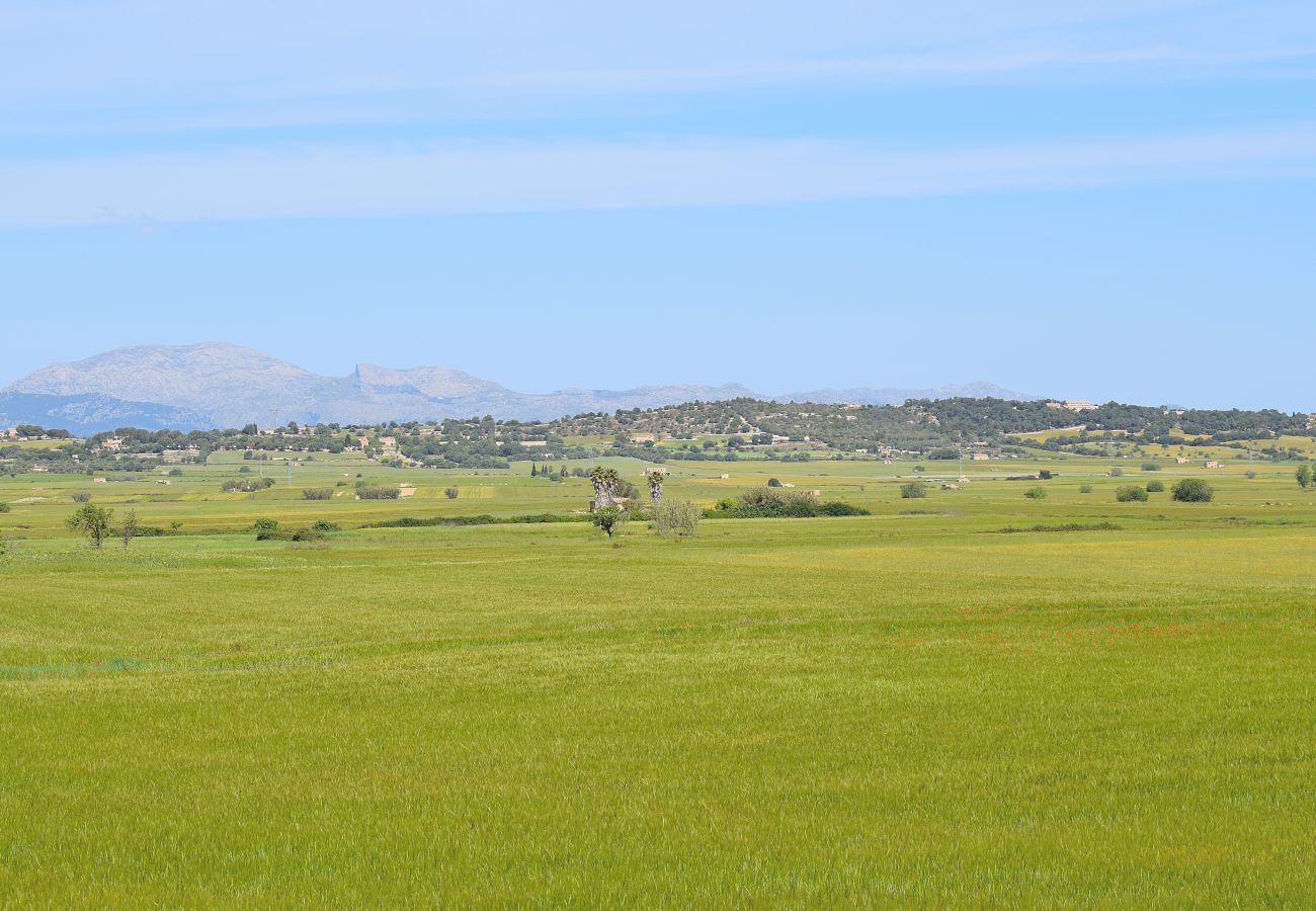Country house in Maria de la salut - 012 Finca Es Gassons VT/1874 by Mallorca Charme