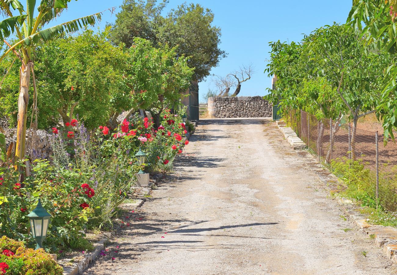 Country house in Santa Margalida - Finca Ballester 034 by Mallorca Charme