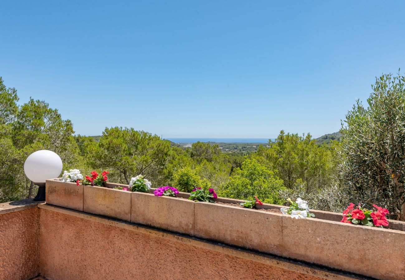 House in Portocolom - Finca Bosc de Can Alou