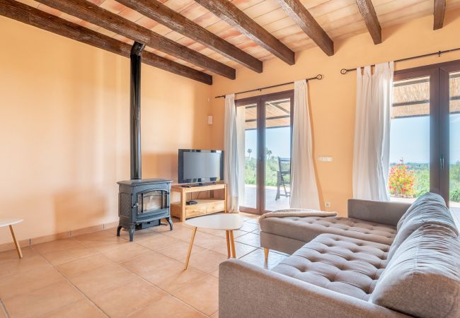 Villa in Manacor - Finca Sa Pleta