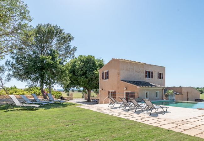 House in Manacor - Finca Son Joan Jaume House in Manacor - Finca Son Joan Jaume