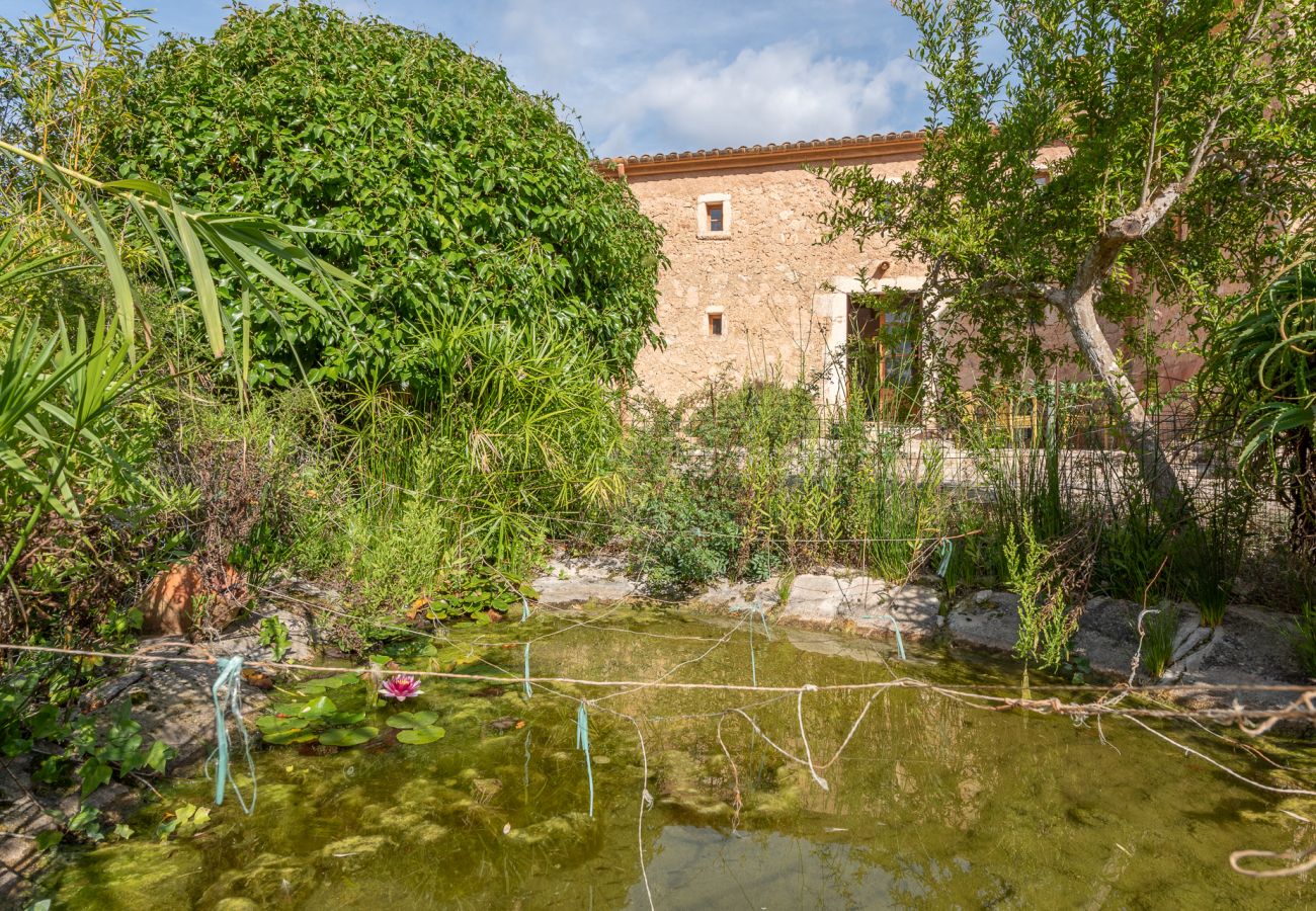 House in Son Macià - Finca Sa Font