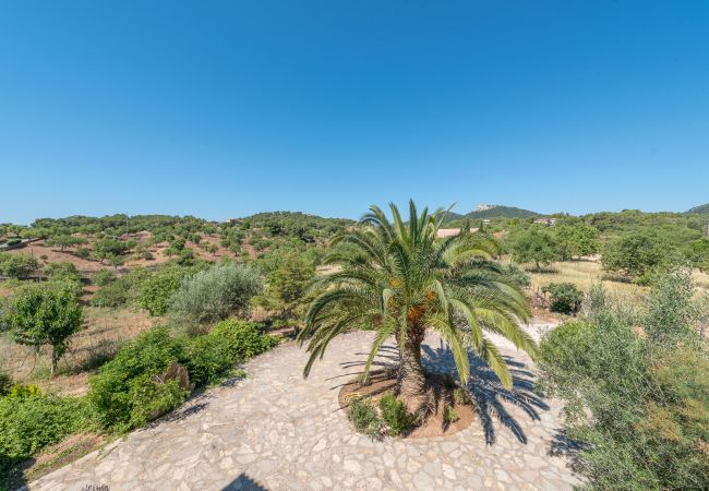 Villa in Portocolom - Finca Es Reguerons Gran Villa in Portocolom - Finca Es Reguerons Gran