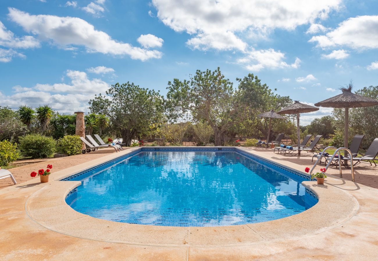 Cottage in S´Alqueria Blanca - Finca Son Marimon (16 pax)