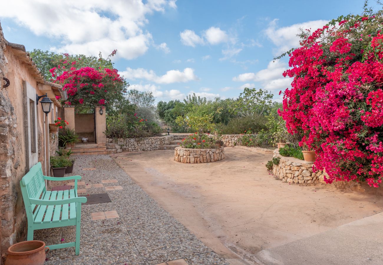 Cottage in S´Alqueria Blanca - Finca Son Marimon (16 pax)