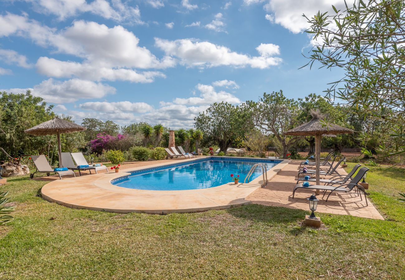 Cottage in S´Alqueria Blanca - Finca Son Marimon (16 pax)