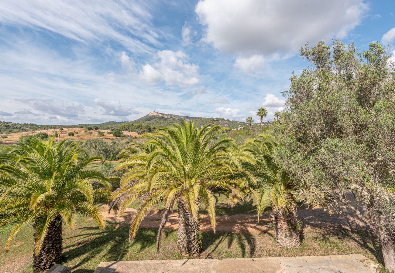 House in Manacor - Finca Sa Bassa Seca