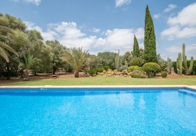 House in Campos - Finca Ses Rotes de Son Rossinyol House in Campos - Finca Ses Rotes de Son Rossinyol