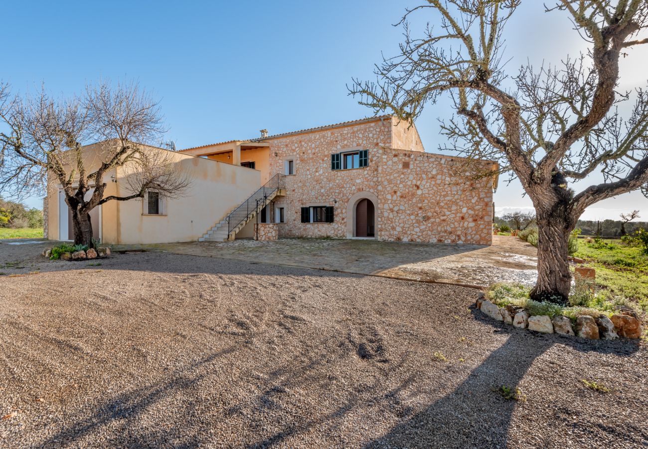 House in Campos - Finca Son Oliver- Son Grau