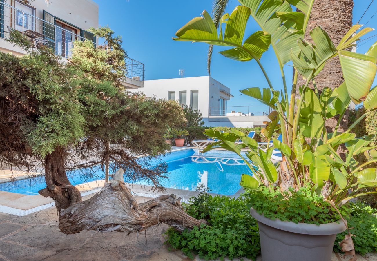 Villa in Portocolom - Villa Mesquida