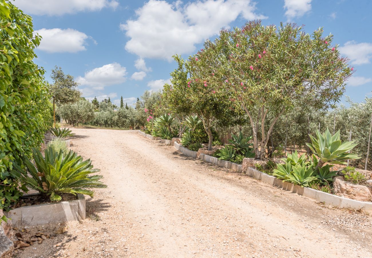 House in Son Carrió - Finca Ses Oliveres by Mallorca House Rent