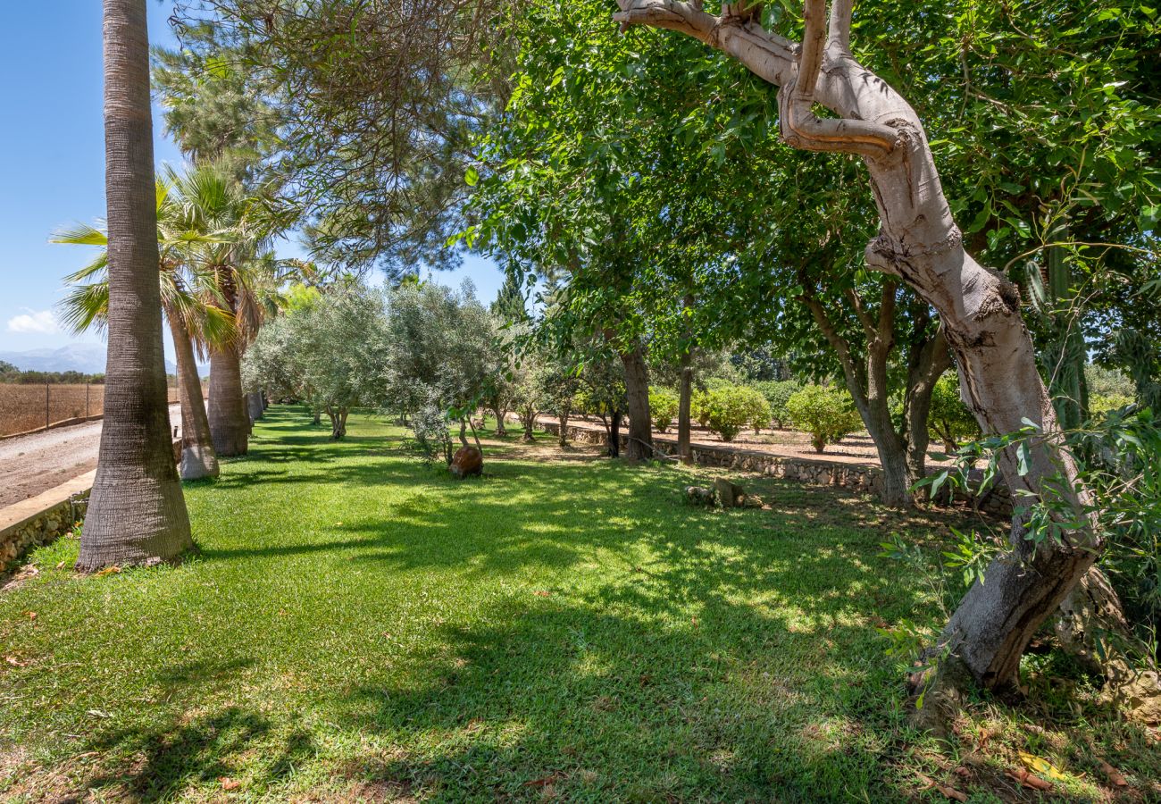 House in Muro - Finca Son Morell