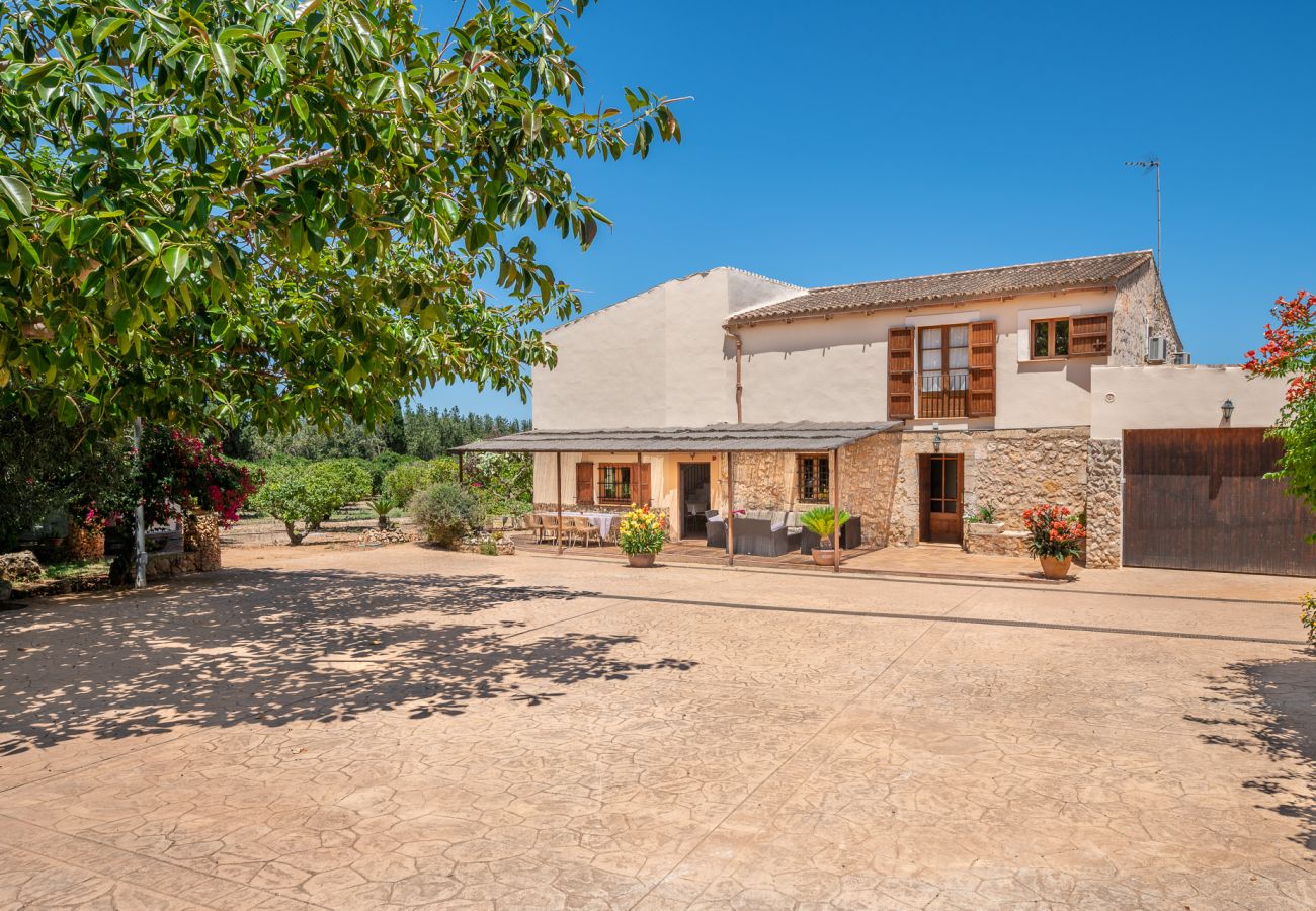 House in Muro - Finca Son Morell