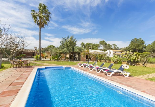 Alcúdia - Country house