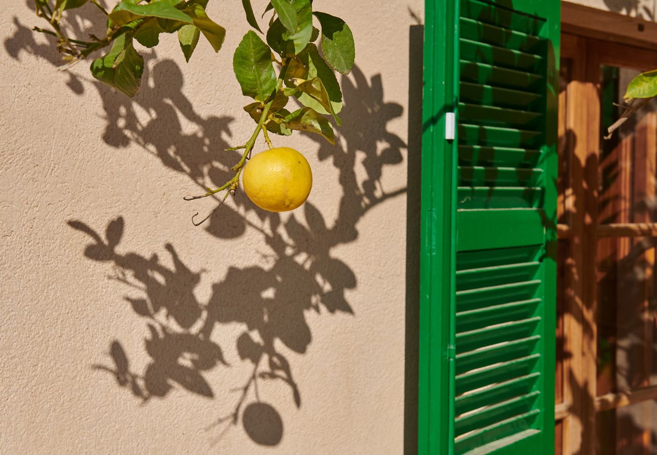 Cottage in Felanitx - Finca Son Oliver