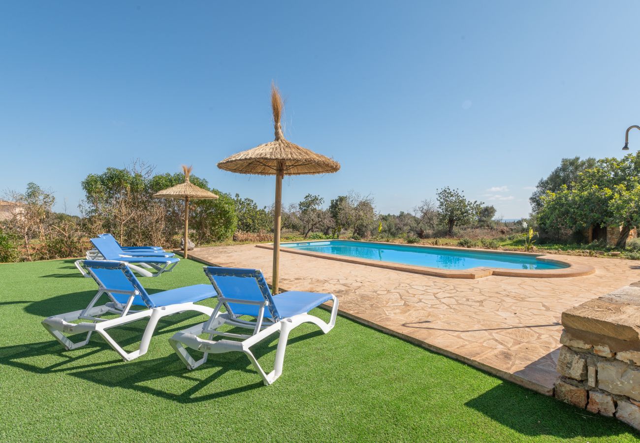 Cottage in Manacor - Finca Can Cabestre