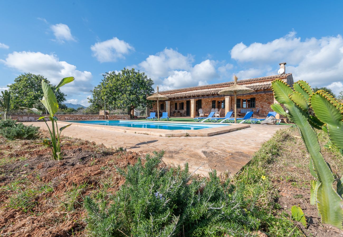 Cottage in Manacor - Finca Can Cabestre