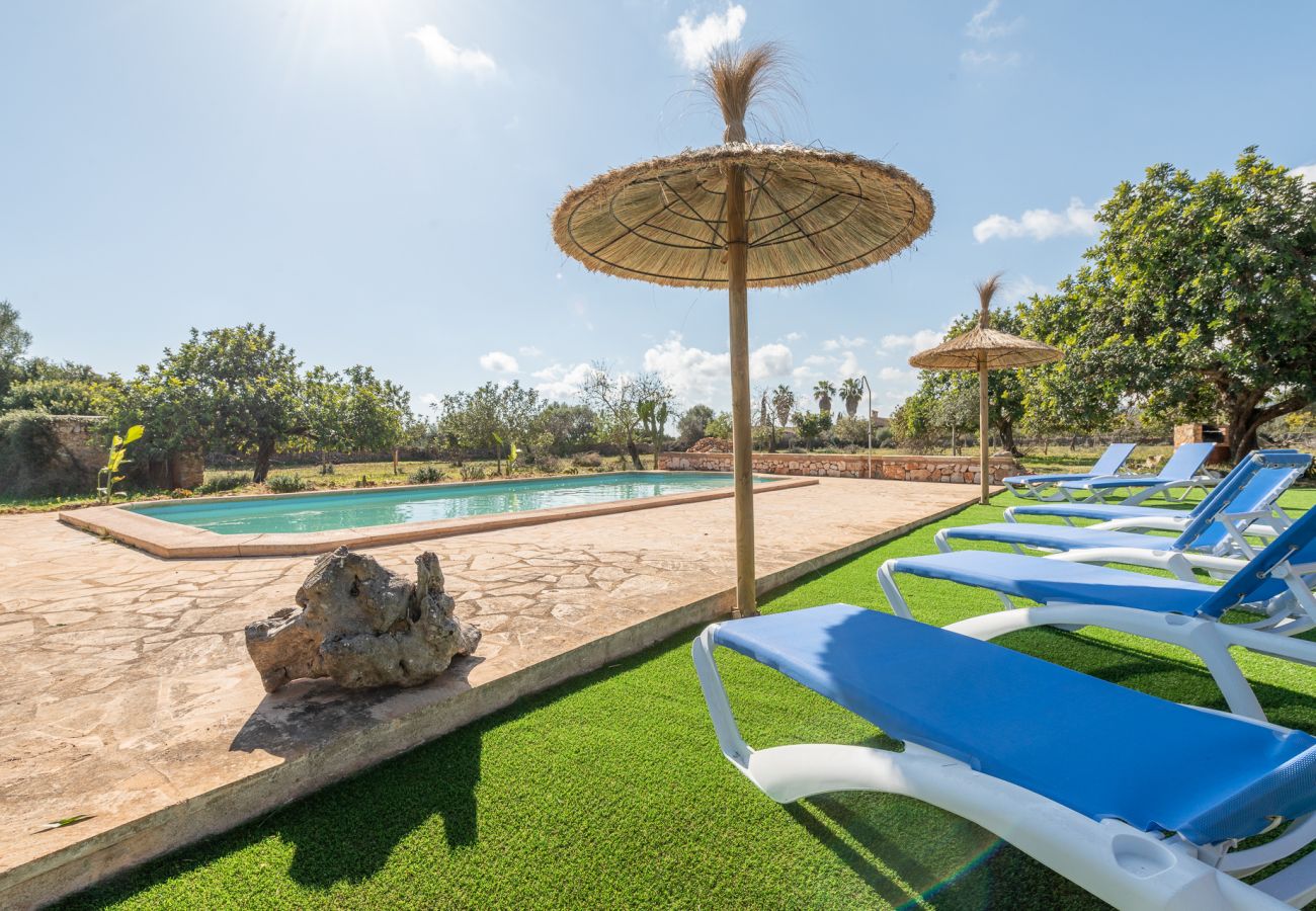 Cottage in Manacor - Finca Can Cabestre