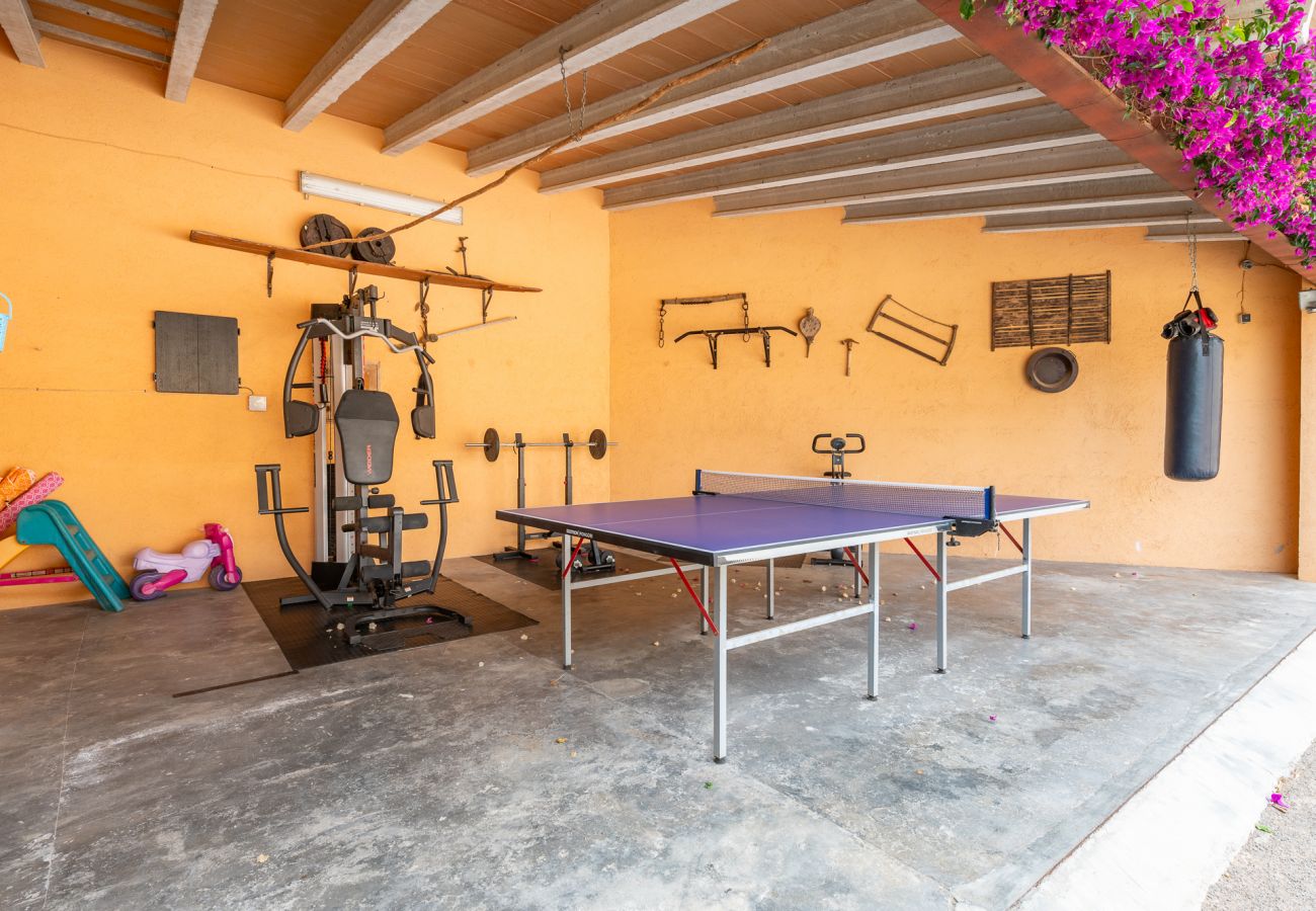 House in Felanitx - Finca Es Sequer by MHR
