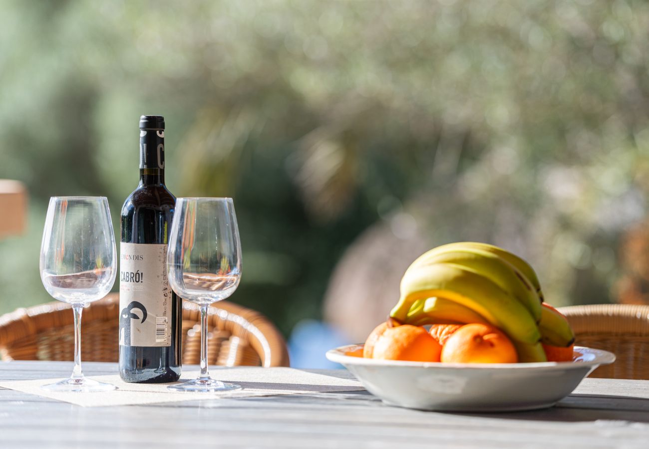 House in Felanitx - Finca Binifarda by Mallorca House Rent